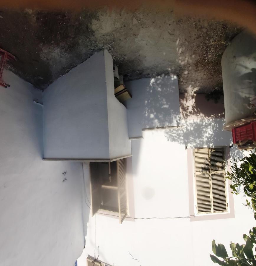 Whole Holiday Home Apartment Lovely Civitavecchia Da Pamino & Priscilla ภายนอก รูปภาพ